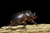 _MG_7477-Edit.jpg