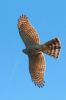 _MG_7527-Edit-Edit.jpg