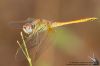 _MG_7579w.jpg