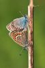 _MG_7807-Edit.jpg