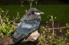 _MG_7875-Edit.jpg
