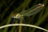 _MG_8922-Edit.jpg