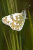 _MG_9126-Edit.jpg