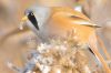 _MG_9169-Edit-Edit.jpg