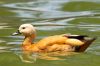 _MG_9269.jpg