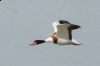 _MG_9273-Edit.jpg