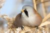 _MG_9333-Edit.jpg