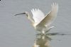 _MG_9378-Edit.jpg