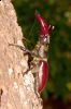 _MG_9966-Edit-Edit.jpg